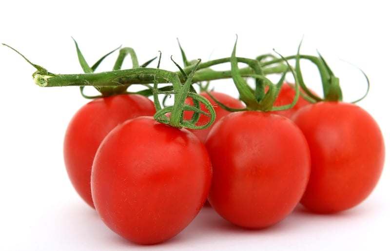Healthy Food